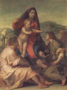 Andrea del Sarto The Madonna of the Stair (san05) oil painting